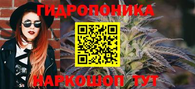 ешки Дубна