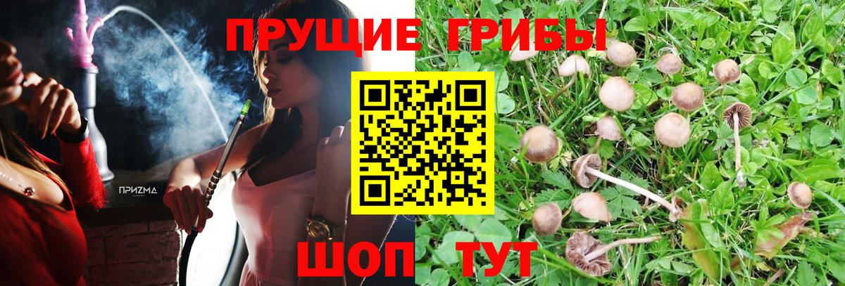 МЕФ кристаллы  Кодеин  Магнитогорск  ГАШИШ  Экстази  МАРИХУАНА  ГЕРОИН  Вход с VPN 