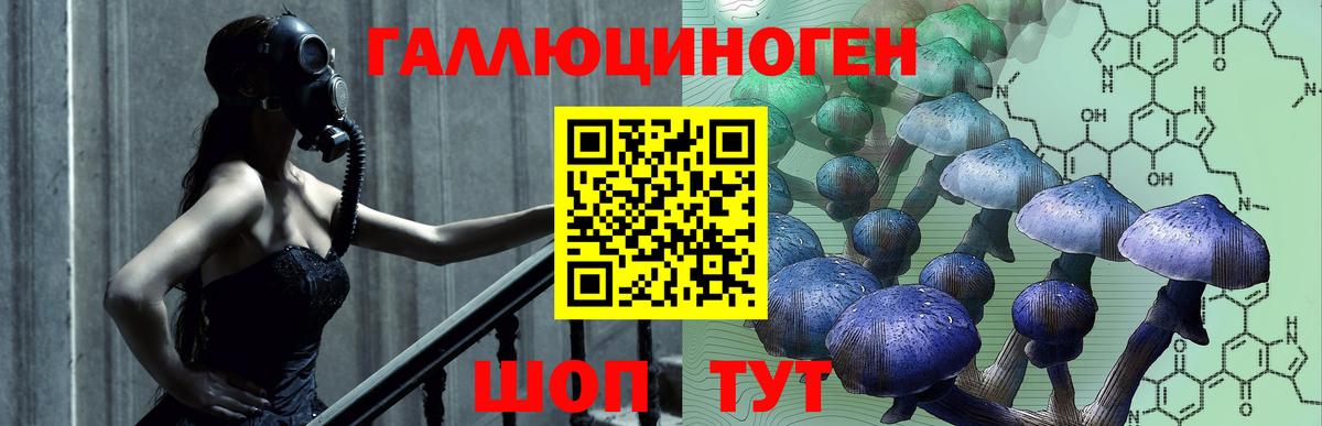 Псилоцибиновые грибы прущие грибы  Псилоцибиновые грибы Psilocybine cubensis  Вход с VPN  купить закладку  Магнитогорск 