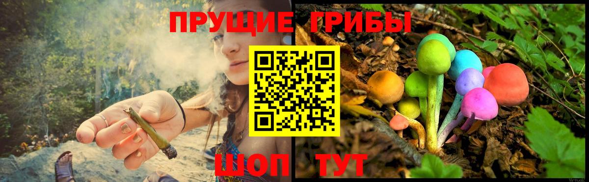 Псилоцибиновые грибы прущие грибы Магнитогорск